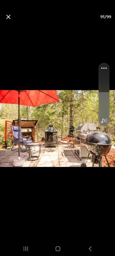 Le Petit Cottage Du Grand Boise Lac-Simon Buitenkant foto